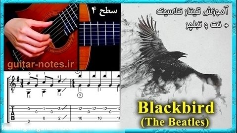 آموزش گیتار آهنگ «Blackbird» از گروه بیتلز با نت و تبلچر