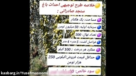 معرفی کسب درآمد ۱۰میلیاردی از سنجد کاری در بجنورد