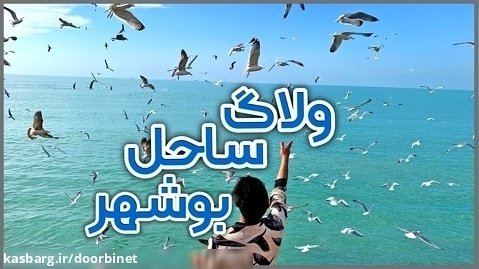 ایرانگردی | ولاگ ساحل بوشهر