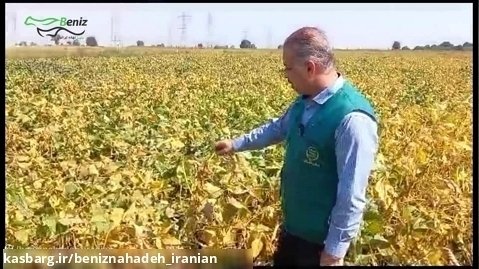 عملکرد محصولات بنیز نهاده در مزرعه سویا استان گلستان