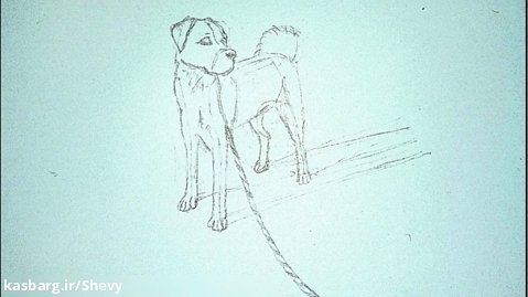 آموزش نقاشی سگ سرابی / قسمت اول