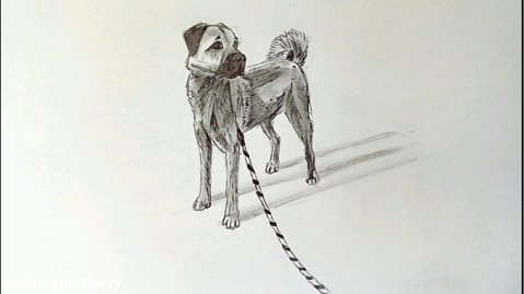 آموزش نقاشی سگ سرابی / قسمت دوم و پایانی