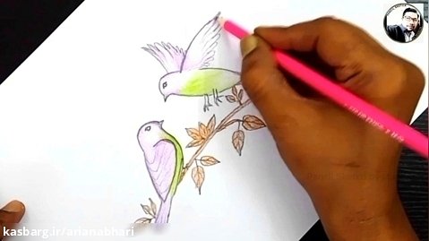 آموزش نقاشی پرنده با مداد رنگی