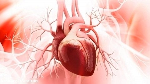 انیمیشنی از نحوه عملکرد دریچه های قلب