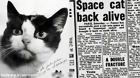 سرگذشت تنها گربه ای که به فضا رفت