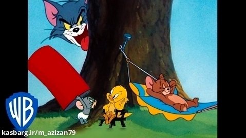 کارتون تام و جری | احساس ماجراجویی | انیمیشن موش و گربه | تام و جری