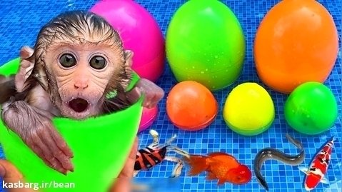 برنامه کودک بچه میمون :: بن بن و شنا کردن در استخر :: سرگرمی کودک