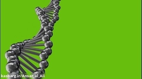 کروماکی DNA
