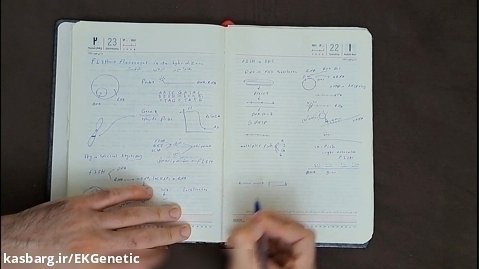 آموزش کامل تکنیک FISH (فارسی) - مکانیسم و کاربردها در سیتوژنتیک مولکولی