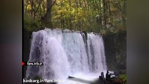 ترانه شاد " رویای رنگی " آقای احمد پوستچی - شیراز
