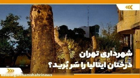 شهرداری تهران، درختان ایتالیا را سَر بُرید؟