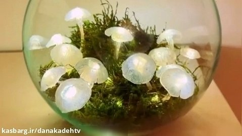 ساخت قارچهای زیبای نورانی