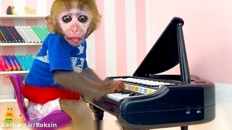 بازی و سرگرمی بچه میمون باهوش با پیانو : برنامه کودک جدید : کلیپ حیوانات خانگی
