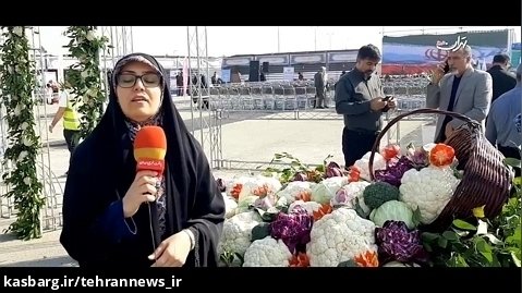 کهریزک میزبان نخستین جشنواره گل کلم در ایران