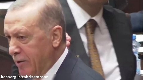 محافظ اردوغان زنبور را به زمین زد