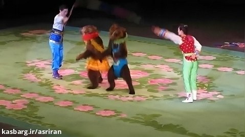 حرکات عجیب خرس های سیرک کره شمالی