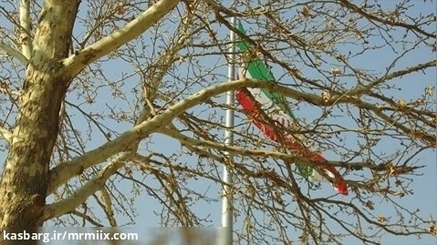 ویدیو فوتیج لانگ شات سینمایی از پرچم ایران از پشت درخت پاییزی