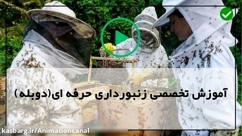 آموزش زنبورداری رایگان-آموزش پرورش زنبور عسل
