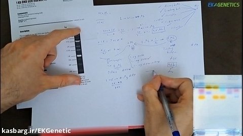 آموزش کامل "الکتروفورز" به زبان فارسی در زمینه های ژنتیک و بیولوژی مولکولی
