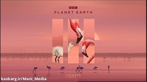 سیاره زمین 3-قسمت 1-ساحل(دوبله فارسی)