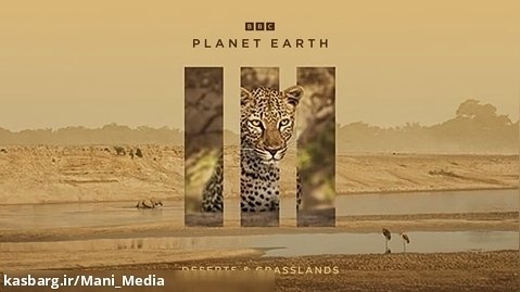 سیاره زمین 3-قسمت 3- بیابان ها و علفزارها (دوبله فارسی)