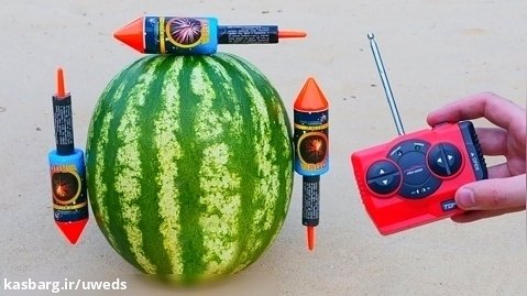 آزمایش جالب: آیا هندوانه بلند خواهد شد؟