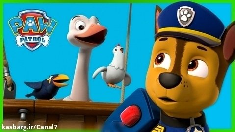 دانلود انیمیشن سگهای نگهبان - سگ نگهبان جدید - دزدان دریایی، نجات پرندگان