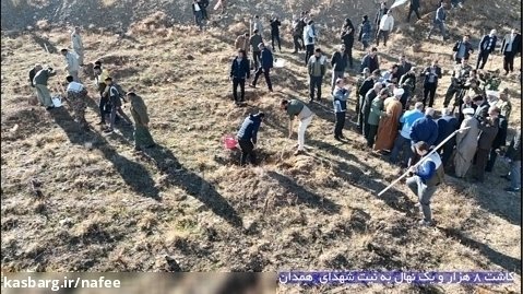 کاشت ۸ هزار و یک نهال به نیت شهدای استان همدان