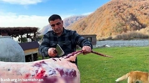 کباب کردن هیجان انگیز گاو 150 کیلوگرمی توسط آشپز روستایی مشهور آذربایجانی