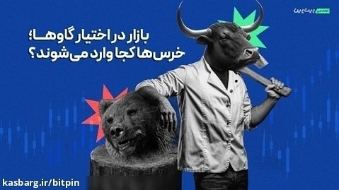 تحلیل هفتگی بیت کوین: بازار در اختیار گاوها؛ خرس ها کجا وارد می شوند؟