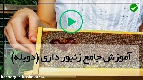 زنبورداری فارسی-ملکه ی جدید کندو