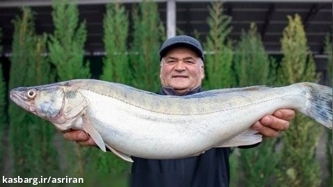 طبخ ماهی 4.5 کیلوگرمی با دستور پخت متفاوت زوج ترکیه ای