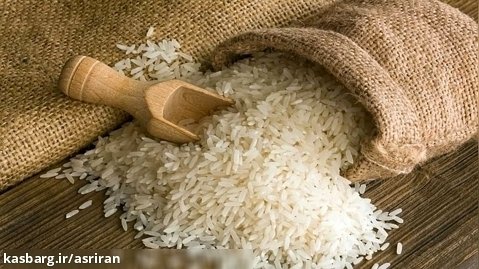 روش نگهداری برنج در برابر حشرات