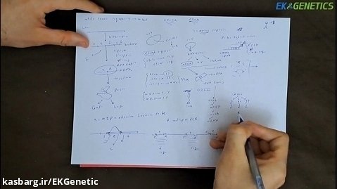 تکنیک Whole Exome Sequencing در ژنتیک چیست و چه کاربردی دارد ؟