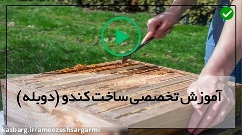 آموزش ساخت کندو عسل-راه های شروع کسب و کار زنبورداری