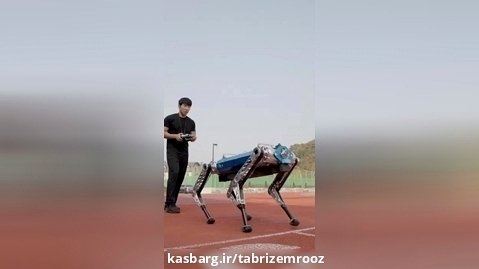 سگ رباتیک ، دونده سریع کره ای