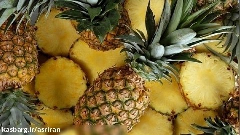 فرآیند برداشت آناناس در مزرعه و تبدیل آن به آبمیوه در یک کارخانه کره ای