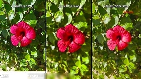 مقایسه دوربین Vivo X100 Pro با Samsung Galaxy S23 Ultra با OnePlus 12