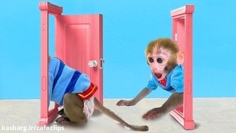 Monkey Baby Bon Bon Goes to Toilet and Rescues Duckling From The Magic Door