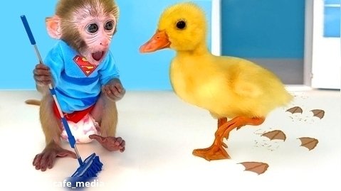 Monkey Baby Bon Bon Takes a Bath with Duckling in the Bathtub and Eats Ice Cre