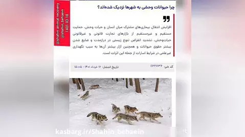 خطر انقراض حیات وحش ایران ( قسمت اول )